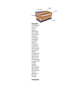 BELLOWS-
the bellows is
a series of 
metal 
tongues 
which allow 
the air flow. 
The bellows 
must be 
pumped by 
hand allow