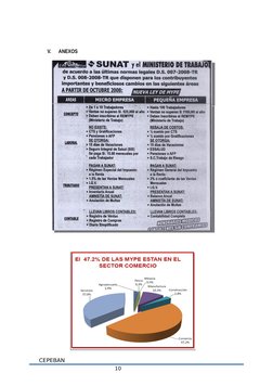 10
V.
ANEXOS
CEPEBAN
