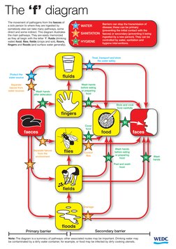 F Diagram of Disease Transmission | PDF | Hygiene | Wash