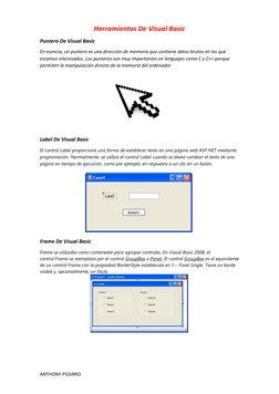 ANTHONY PIZARRO 
  
Herramientas De Visual Basic 
Puntero De Visual Basic 
En esencia, un puntero es una dirección de memoria