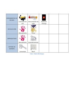 Tabla 1. Matriz Morfológica
