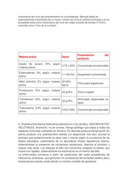 transmisora del virus del amarillamiento en cucurbitáceas. Bemisia tabaci es 
potencialmente transmisora de un mayor número d
