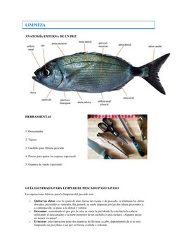 LIMPIEZA 
ANATOMÍA EXTERNA DE UN PEZ 
 
  
HERRAMIENTAS 
  
1. Descamador 
2. Tijeras 
3. Cuchillo para filetear pescado 
4.