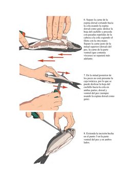 6. Separe la carne de la 
espina dorsal cortando hacia 
la cola usando la espina 
dorsal como guía: deslice la 
hoja del cu