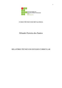 1 
 
 
 
 
 
 
 
CURSO TÉCNICO EM METALURGIA 
 
 
Orlando Ferreira dos Santos 
 
 
 
RELATÓRIO TÉCNICO DO ESTÁGIO CURRICULAR