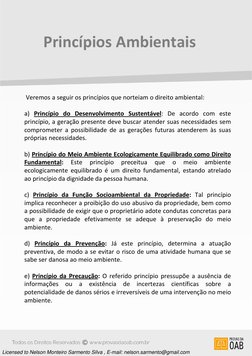 Princípios Ambientais 
 Veremos a seguir os princípios que norteiam o direito ambiental: 
 
a) Princípio do Desenvolvimento S