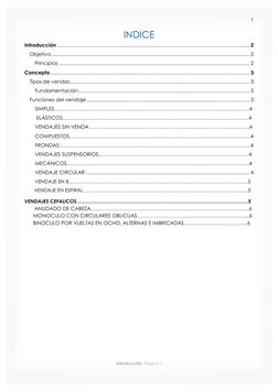1 
 
 
Introducción  Página 1 
INDICE 
Introducción ....................................................................