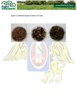  
 
 
Figura 7.2. Infusiones después de someter a la estufa  
 
 
