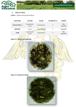 V. 
RESULTADOS 
Tabla 1.  Análisis sensorial del Producto. 
 
MUESTRA 
COLOR 
OLOR 
APARIENCIA 
SABOR 
MANZANILLA 
Ligera