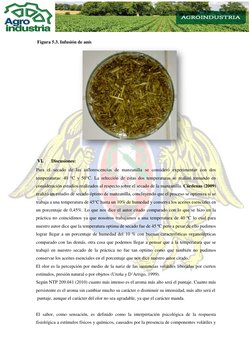 Figura 5.3. Infusión de anís    
 
 
 
 
 
 
 
 
 
 
 
 
VI. 
Discusiones: 
Para el secado de las inflorescencias de man