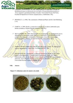  CAICEDO, A y OTAVALO, M. 2007. Determinación de temperatura y tiempo de 
deshidratación para la elaboración de té de Sunf