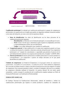 Cualificación profesional: Se entiende por cualificación profesional el conjunto de competencias 
profesionales con signifi