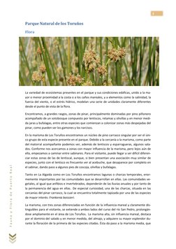 3 
F a u n a  y  F l o r a  d e  P u e r t o  R e a l  
Parque Natural de los Toruños 
Flora 
 
La variedad de ecosis