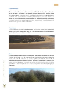 7 
F a u n a  y  F l o r a  d e  P u e r t o  R e a l  
Geomorfología 
 
El parque metropolitano se encuadra en un es