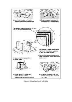 Disturbed vs. Undisturbed Soil Samples | PDF | Soil | Chemistry