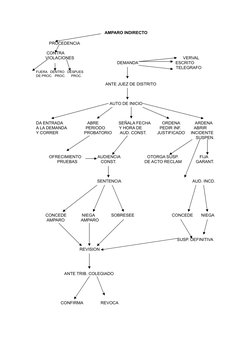 Diagrama de flujo del amparo indirecto | PDF | Instituciones sociales ...