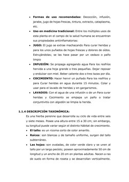  Formas de uso recomendadas: Decocción, infusión, 
jarabe, jugo de hojas frescas, tintura, extracto, cataplasma, 
etc.  
 U