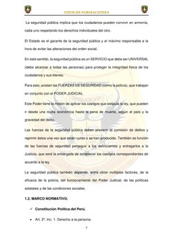 TIPOS DE FORMACIONES  
 
7 
 
 La seguridad pública implica que los ciudadanos pueden convivir en armonía, 
cada uno respetan