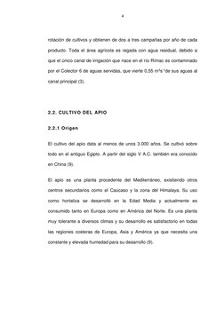 4 
 
rotación de cultivos y obtienen de dos a tres campañas por año de cada 
producto. Toda el área agrícola es regada con ag