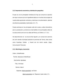 5 
 
2.2.2 Importancia económica y distribución geográfica 
El apio es una la principales hortalizas de hoja (se consume el p