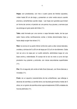 6 
 
Hojas: son pinatisectas, con tres o cuatro pares de foliolos opuestos, 
miden hasta 50 cm de largo, y presentan un color