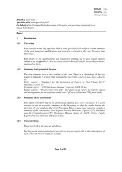 Expert Witness Report Template Guide | PDF | Expert Witness | Opinion
