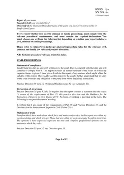 Expert Witness Report Template Guide | PDF | Expert Witness | Opinion