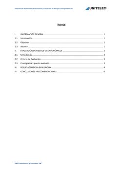 Informe de Monitoreo Ocupacional (Evaluación de Riesgos Disergonómicos)