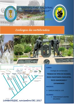 LAMBAYEQUE, noviembre DEL 2017 
 
CURSO: 
Zoología de vertebrados 
TRABAJO DE TIPOS