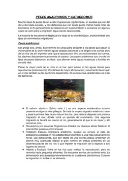 PECES ANADROMOS Y CATADROMOS 
Muchos tipos de peces llevan a cabo migraciones regularmente, en escalas que van del 
día a día