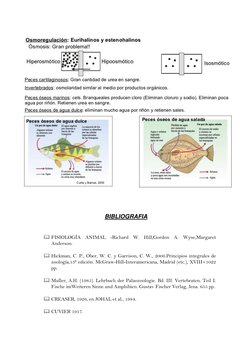 BIBLIOGRAFIA 
 
 FISIOLOGÍA ANIMAL -Richard W. Hill,Gordon A. Wyse,Margaret 
Anderso