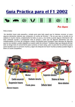 1
1
  Guía Práctica para el F1 2002