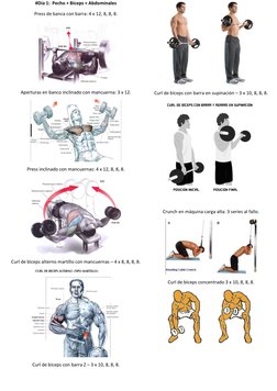 #Día 1:  Pecho + Bíceps + Abdominales 
Press de banca con barra: 4 x 12, 8, 8, 8. 
 
Aperturas en banco inclinado con mancuer
