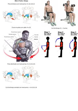 #Día 4: Pecho + Bíceps 
Press de banca con mancuerna: 4 x 12, 8, 8, 8. 
 
Cruce en polea con cable: 4 x 10. 
 
Press declinad