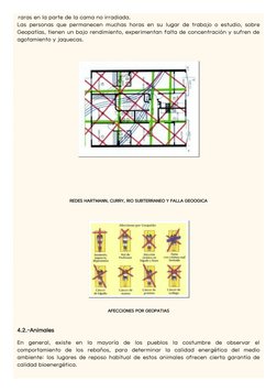 raras en la parte de la cama no irradiada.
Las personas que permanecen muchas horas en su lugar de trabajo o estudio, sobre
G