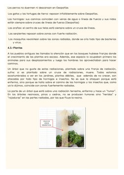 Los perros no duermen ni descansan en Geopatías
Los gatos y las tortugas de tierra: reposan infaliblemente sobre Geopatías.
L