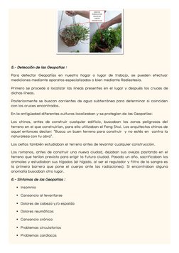 5.- Detección de las Geopatias :
Para detectar Geopatías en nuestro hogar o lugar de trabajo, se pueden efectuar
mediciones m