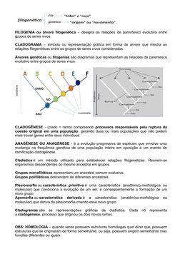 FILOGENIA ou árvore filogenética – designa as relações de parentesco evolutivo entre
grupos de seres vivos.
CLADOGRAMA – símb