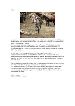 MULA: 
 
La mula  (http://elementoshistoria.blogspot.com.ar/2012/05/explotacion-de-plata-y-mita-minera-en.html)es un animal d