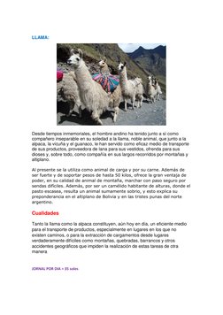 LLAMA: 
 
Desde tiempos inmemoriales, el hombre andino ha tenido junto a sí como 
compañero inseparable en su soledad a la
