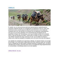 CABALLO: 
 
El caballo, fue uno de los primeros elementos representativos traidos(durante la 
conquista y despues de esta) co