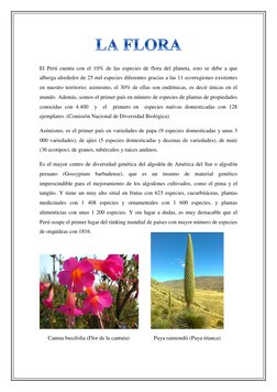 El Perú cuenta con el 10% de las especies de flora del planeta, esto se debe a que 
alberga alrededor de 25 mil especies di