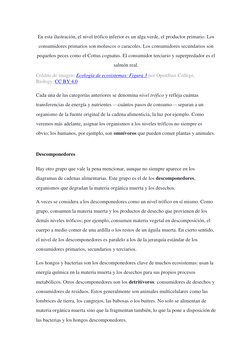 En esta ilustración, el nivel trófico inferior es un alga verde, el productor primario. Los 
consumidores primarios son molus