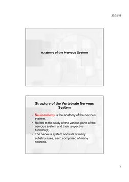 Structure of the Vertebrate Nervous System | PDF | Cerebrum | Nervous ...