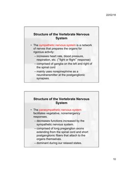Structure of the Vertebrate Nervous System | PDF | Cerebrum | Nervous ...