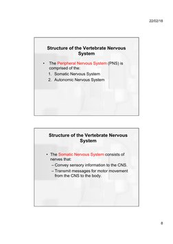 Structure of the Vertebrate Nervous System | PDF | Cerebrum | Nervous ...