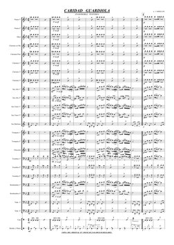 
























COPIA  DEL  ORIGINAL  EN  MOJÀCAR 21-04-2005.D.M.M