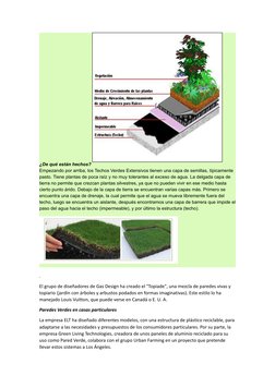 ¿De qué están hechos? 
Empezando por arriba, los Techos Verdes Extensivos tienen una capa de semillas, típicamente 
pasto. Ti