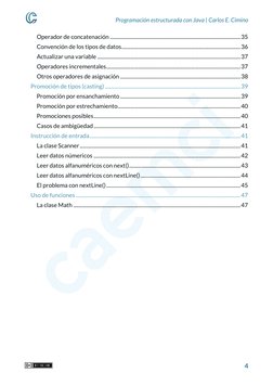 Programación estructurada con Java | Carlos E. Cimino 
 4 
Operador de concatenación ........................................