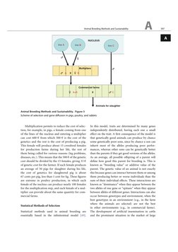 Multiplication permits to reduce the cost of selec-
tion, for example, in pigs, a female coming from one
of the lines of the